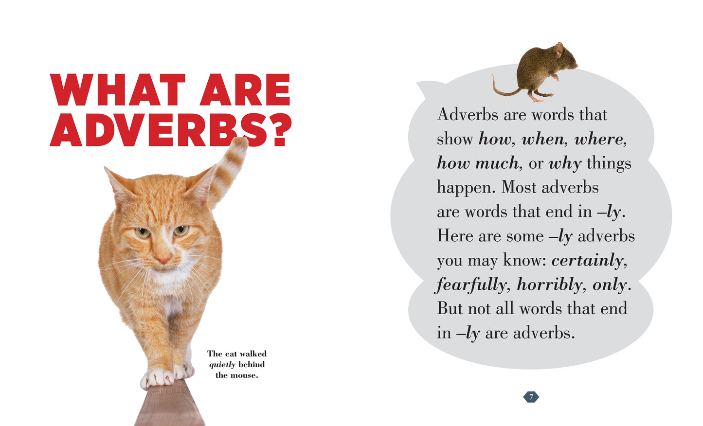 Adverbs