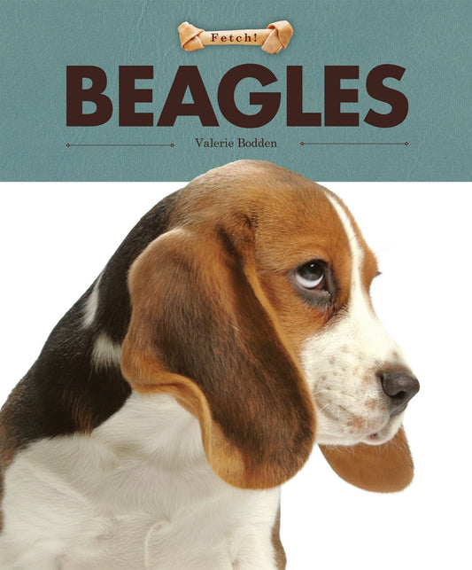 Beagles