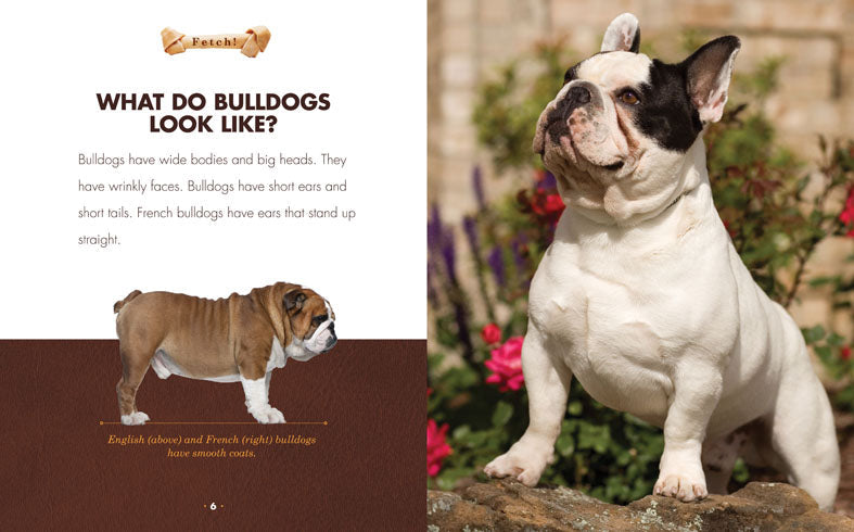 Bulldogs