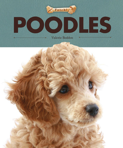 Poodles