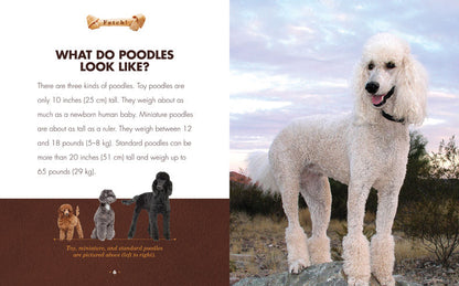 Poodles