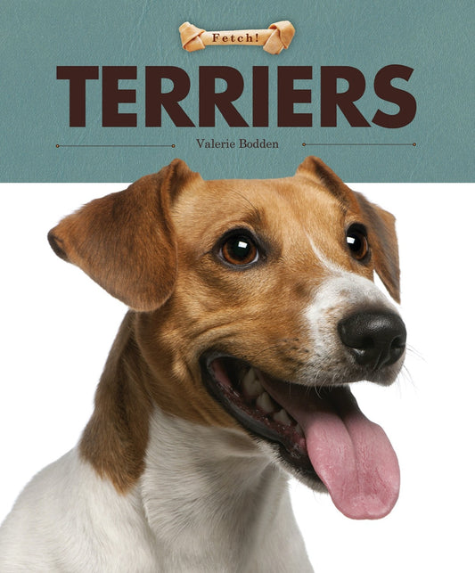 Terriers