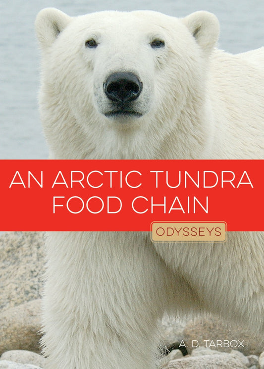 Arctic Tundra Food Chain, An