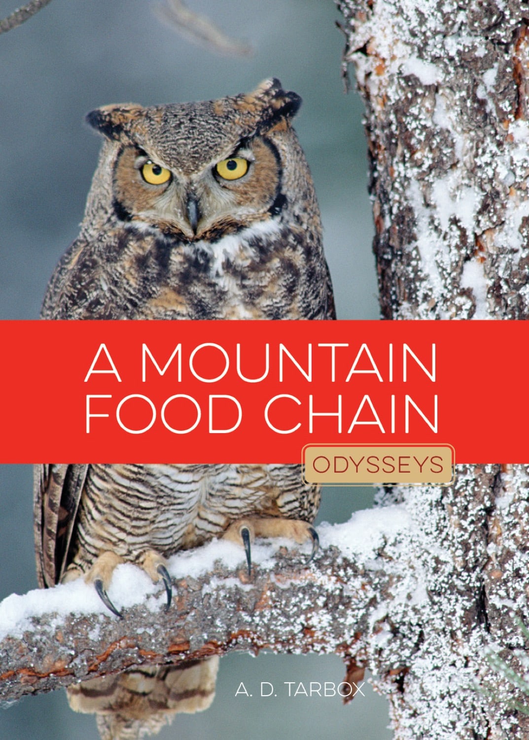 Mountain Food Chain, A