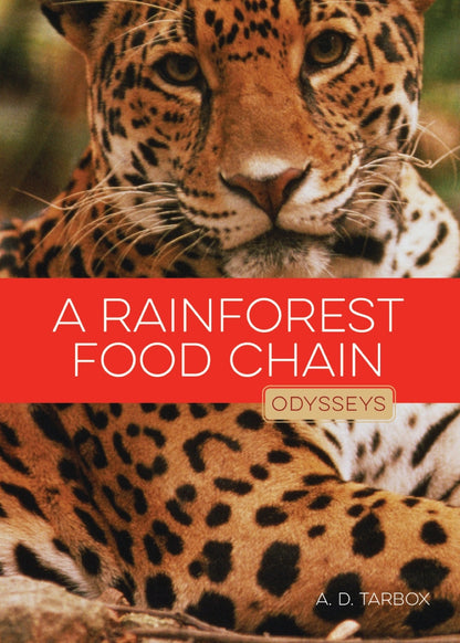 Rainforest Food Chain, A