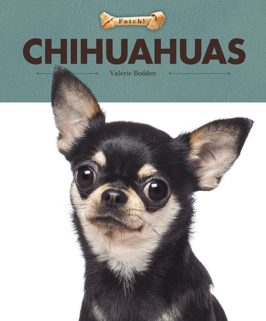 Chihuahuas