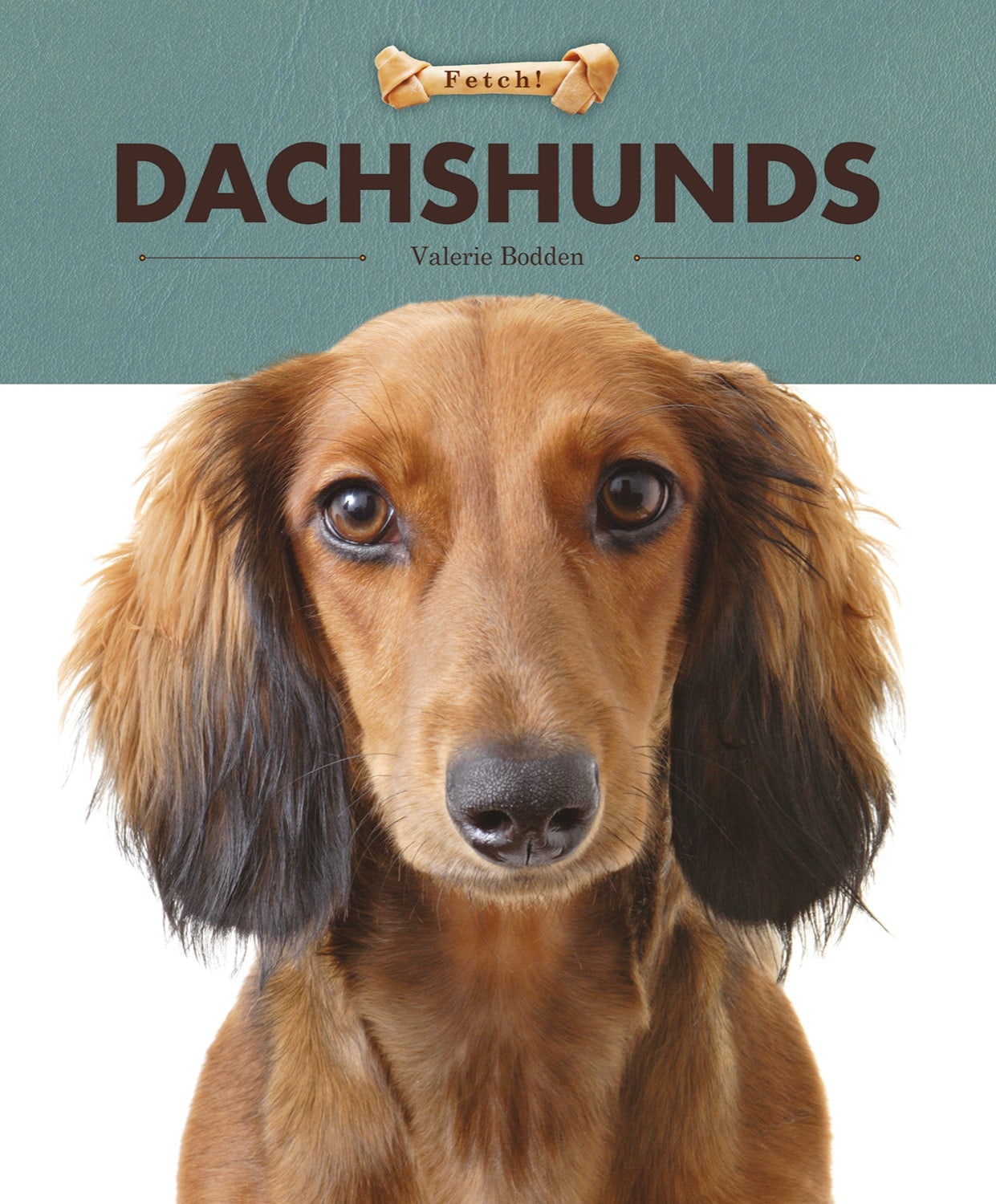 Dachshunds