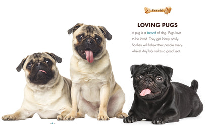 Pugs