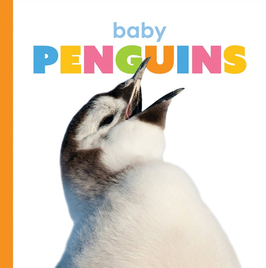 Baby Penguins