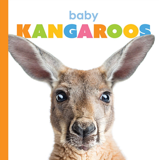 Baby Kangaroos