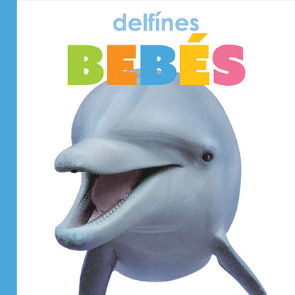 Delfínes bebés