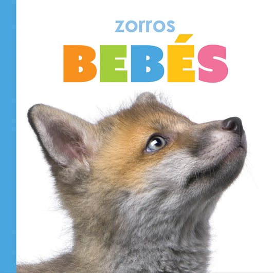 Zorros bebés