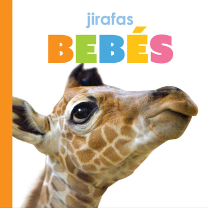 Jirafas bebés