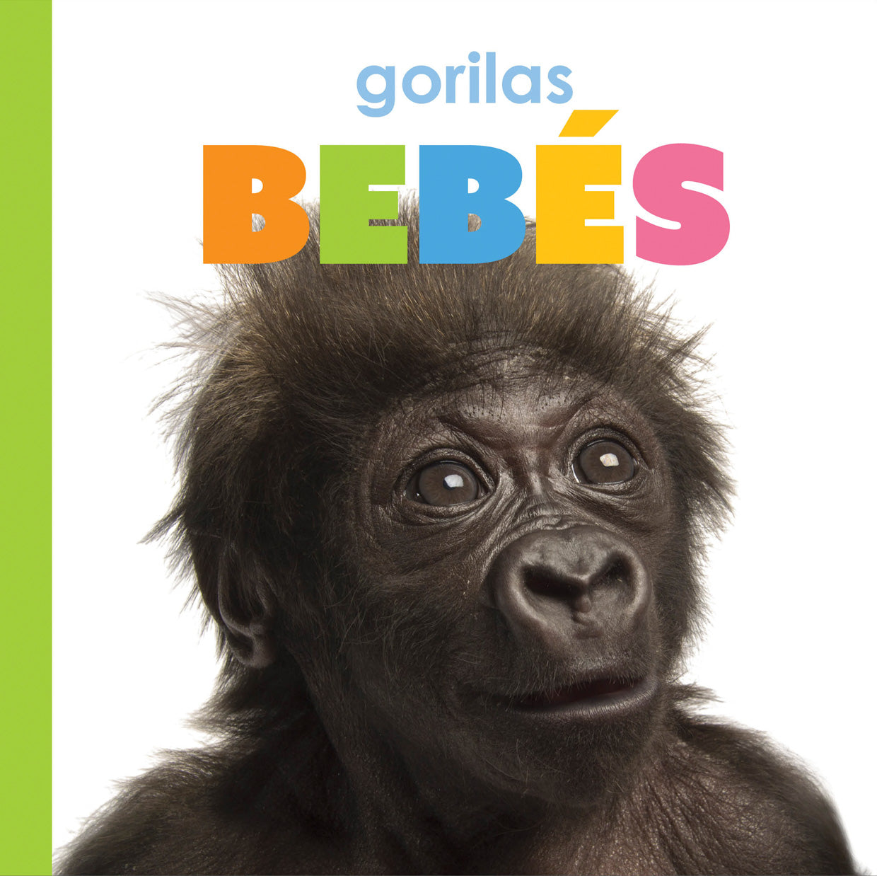 Gorilas bebés