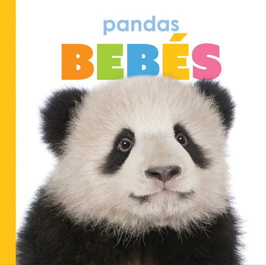 Pandas bebés