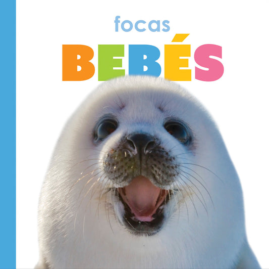 Focas bebés