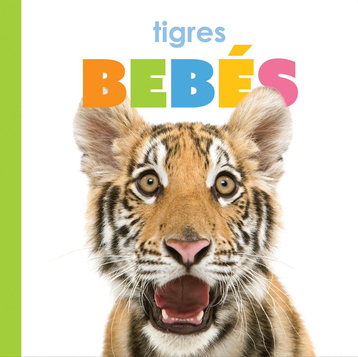 Tigres bebés