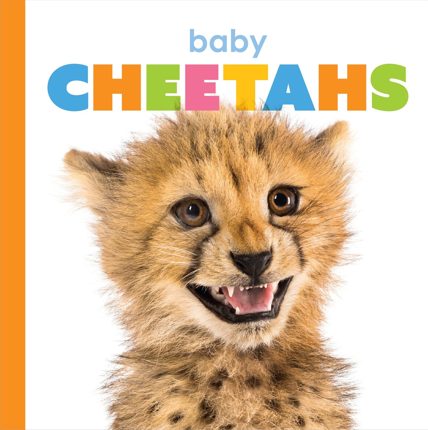 Baby Cheetahs