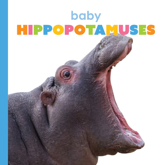 Baby Hippopotamuses