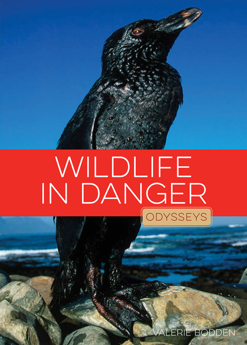 Wildlife in Danger