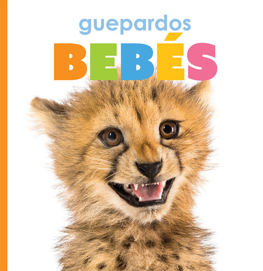 Guepardos bebés