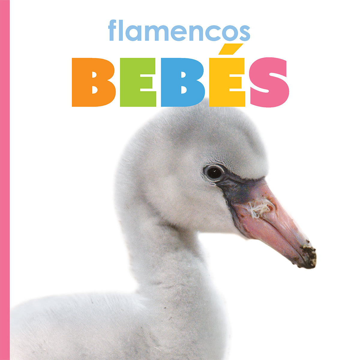 Flamencos bebés