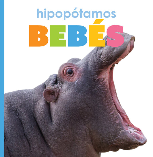 Hipopótamos bebés