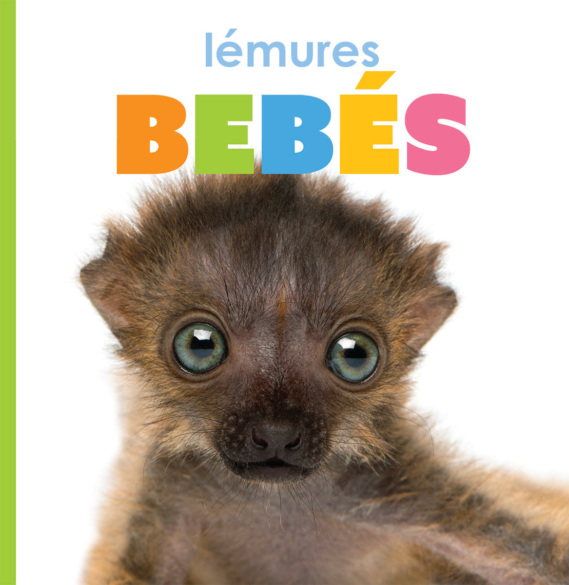 Lémures bebés