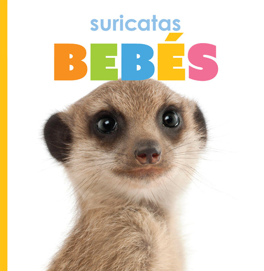 Suricatas bebés