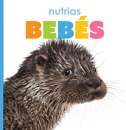 Nutrias bebés