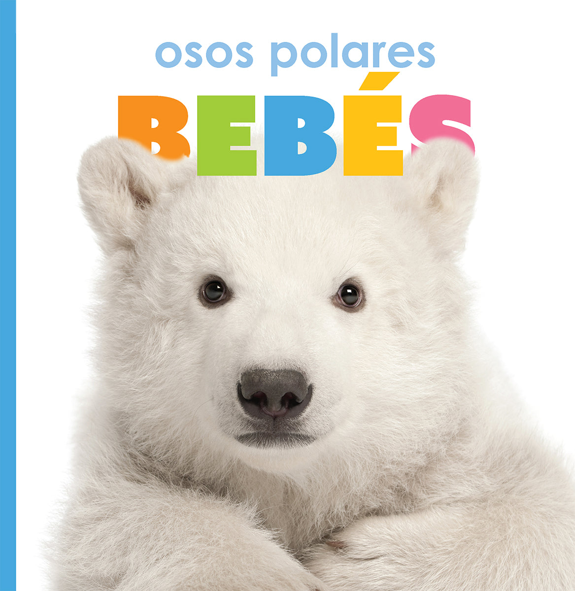 Osos polares bebés