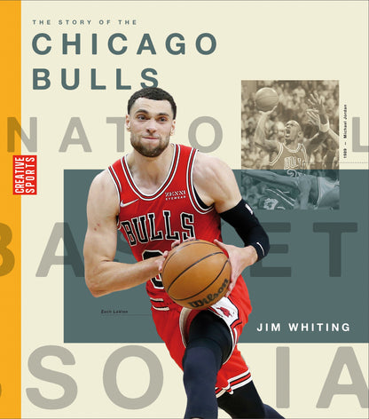 The Story of the Chicago Bulls