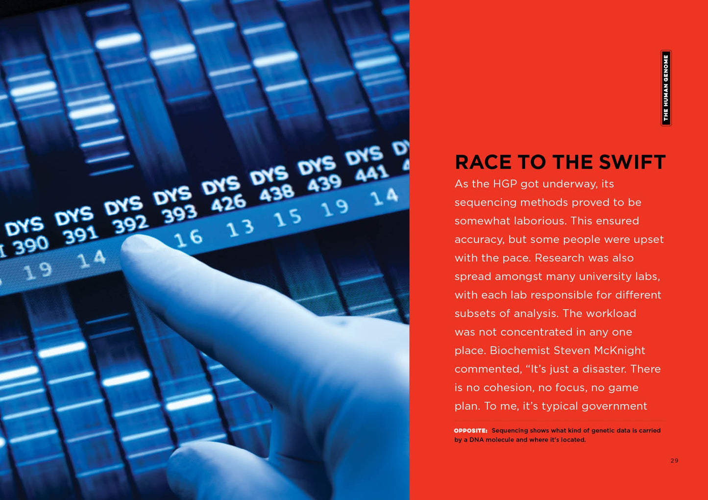 The Human Genome